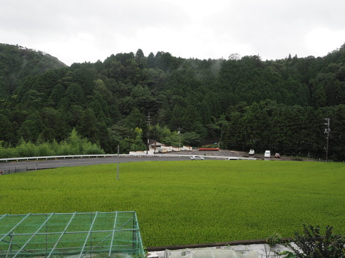雨時々曇り_c0116915_00051001.jpg