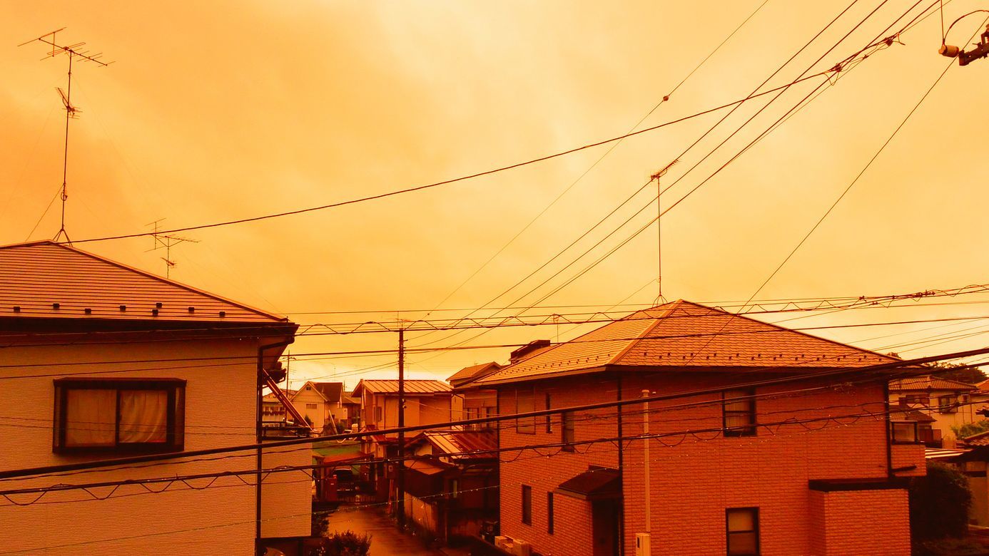 オレンジ色に染まった朝焼けがすごかった♪・・・８月１８日。今朝の撮れたて。_a0031821_11105177.jpg