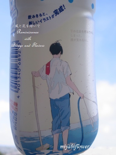 カルピスウォーター 全部飲んだら見えたのは 風と花を紡いで カルピスウォーター 全部飲んだら見えたのは 風と花を紡いで