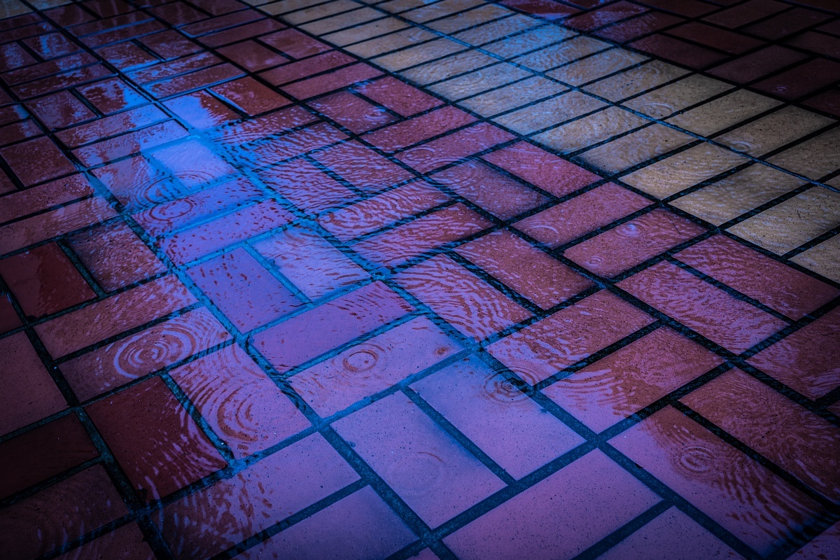 水分含有量の多い8月_d0353489_20285278.jpg