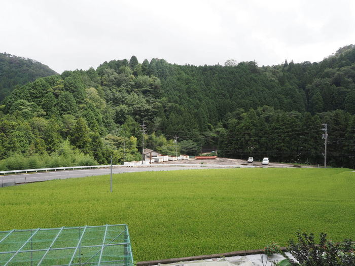 雨のち曇り時に日が射し_c0116915_23484818.jpg