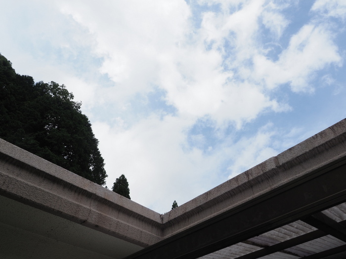 雨のち曇り時に日が射し_c0116915_23491238.jpg