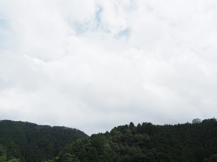 雨のち曇り時に日が射し_c0116915_23493492.jpg