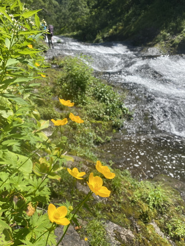 2021年7月 『大雪山クワンナイ沢遡行』　July 2021 \"Canyoning in Kuwannai River, Mt Taisetsu\"_c0219616_08594202.jpg