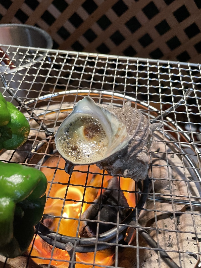 陸斗とコロナの日_f0076731_17504593.jpg