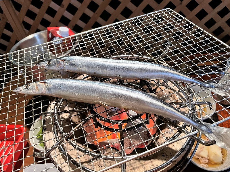 陸斗とコロナの日_f0076731_17513261.jpg