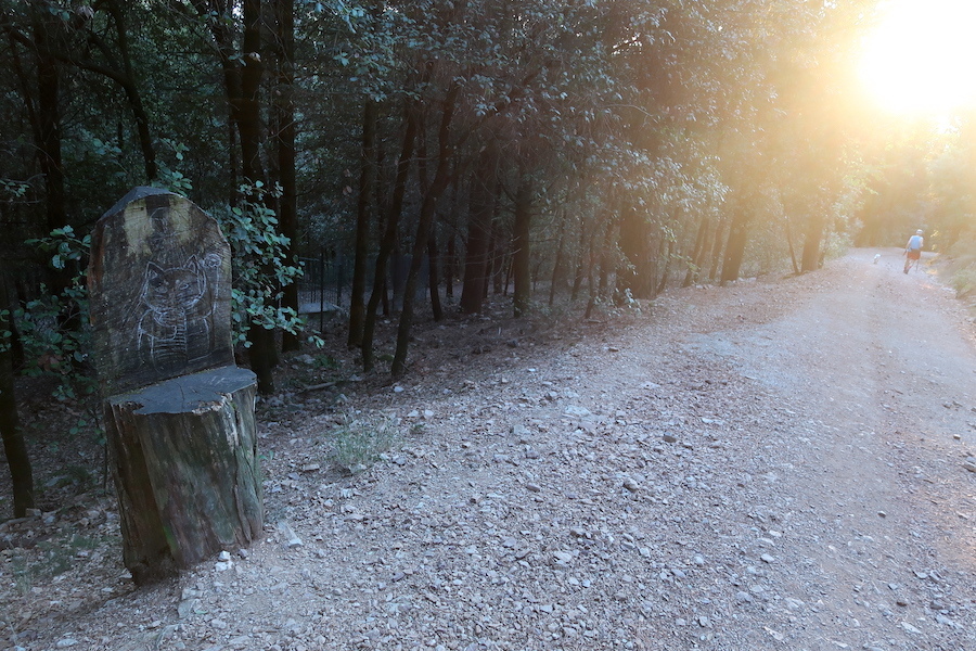 急ぎ登り夕日見送るテッツィオ山_f0234936_23312089.jpg