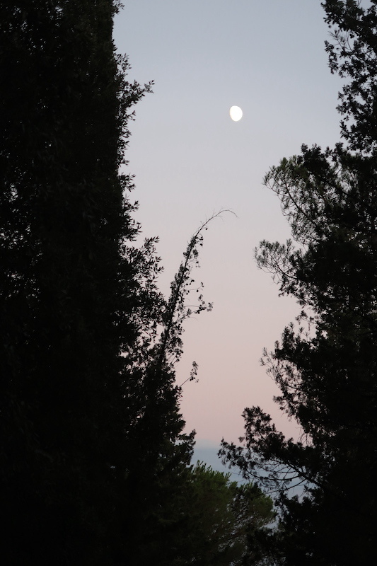 急ぎ登り夕日見送るテッツィオ山_f0234936_23540513.jpg