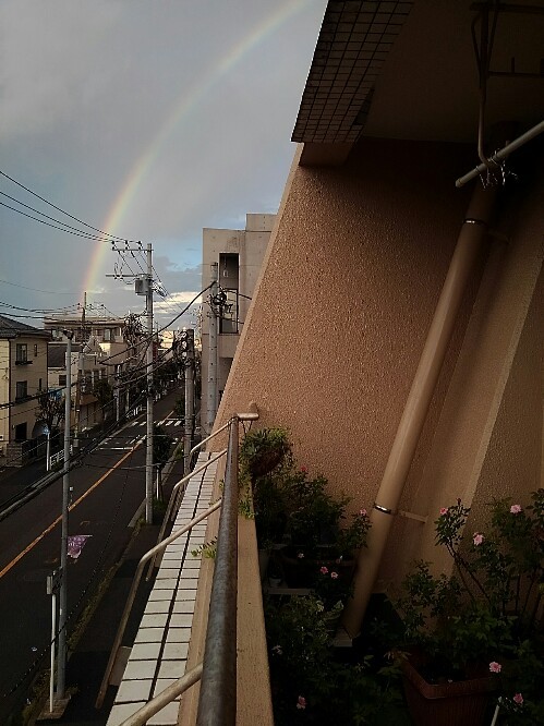 朝虹は雨_d0152937_20523663.jpg