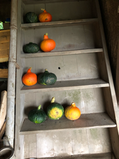 収穫_f0363168_07281377.png