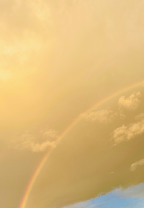 「今日のフォト〜虹〜」_f0201297_16191818.jpeg