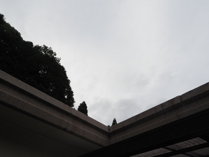 雨のち曇り_c0116915_23423235.jpg