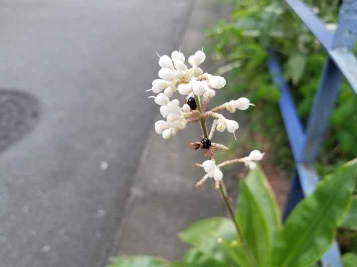 夢はかなえられたか_e0016828_11544614.jpg