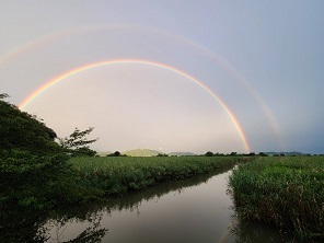 高校野球と虹_e0126155_21061051.jpg