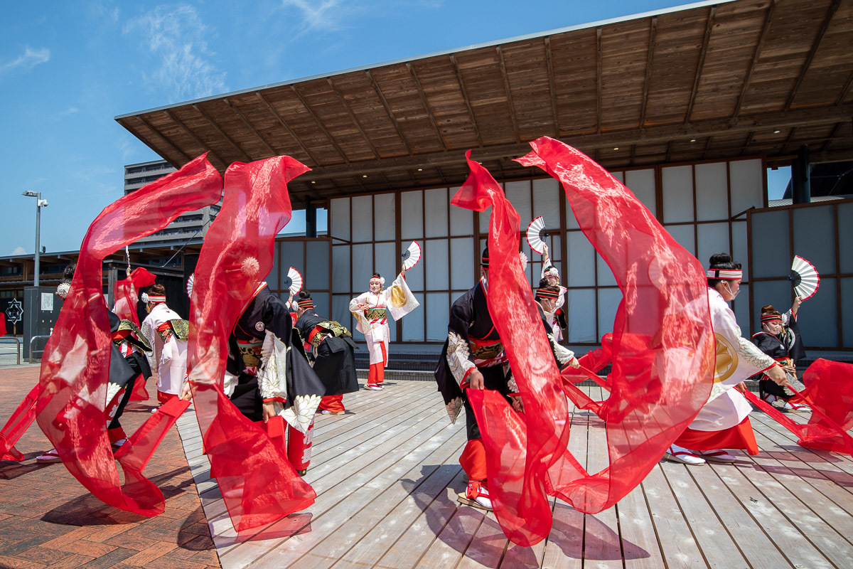 たびひろよさこい 濱長 花神楽 その6_a0077663_14254617.jpg