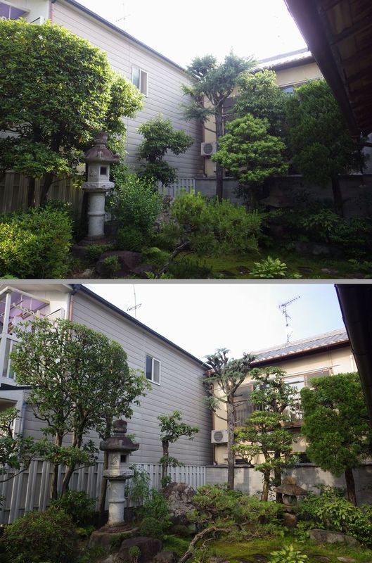 多種お庭の手入れ 京都市庭木剪定 庭 佳niwaka 庭木1本からの植木屋