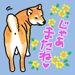 平蔵の上_b0057675_23224124.jpg