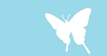 驚愕!大きな白い蝶のシンクロが「進むべき道」を伝えてくれたとは! #189_b0225081_16172554.jpg