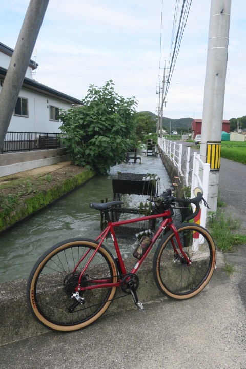 お借りしているミッドナイトスペシャルで_c0132901_14395451.jpg