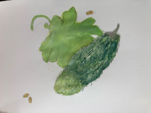 2021.8.22 子供絵画教室 〜夏野菜いろいろ〜 : miwa-watercolor