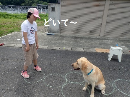 コロナクラスター。_c0182012_15363215.jpg