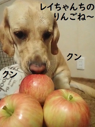 コロナクラスター。_c0182012_15363495.jpg