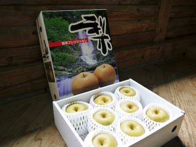 熊本のブランド梨『秋麗(しゅうれい)』出荷スタート!注文殺到に付、現在は8玉入りのみを販売中!_a0254656_17313503.jpg