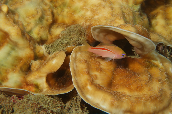 210822 今一番アツいのは…_a0335173_18112392.jpg