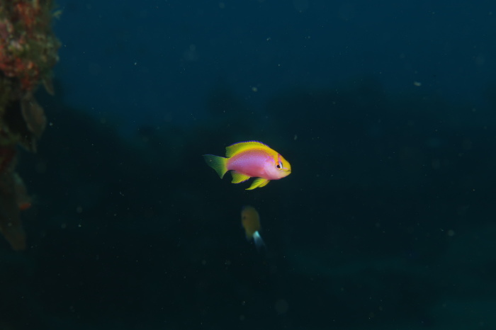 210822 今一番アツいのは…_a0335173_18112406.jpg