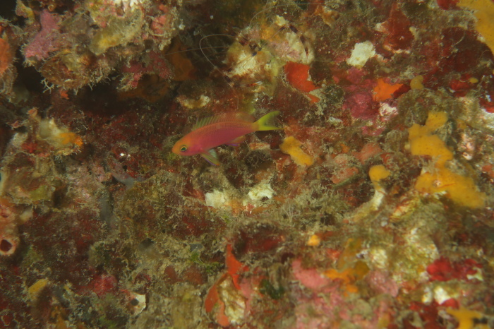 210822 今一番アツいのは…_a0335173_18112589.jpg