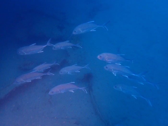 210822 今一番アツいのは…_a0335173_18263410.jpg