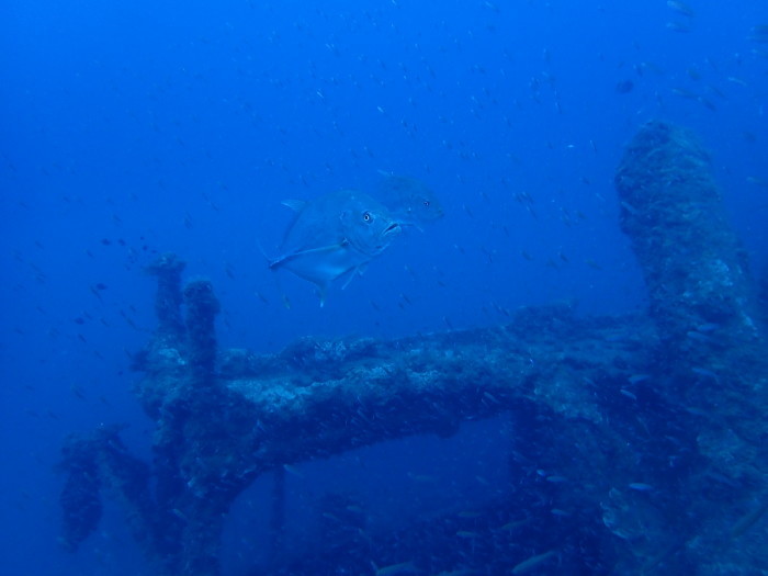 210822 今一番アツいのは…_a0335173_18293429.jpg