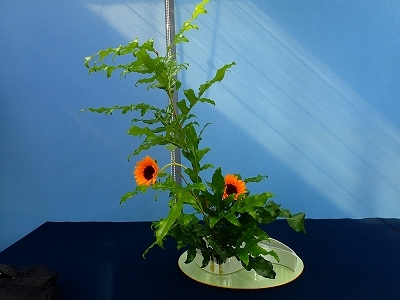華やかに、いけばな展_f0203094_09272804.jpg