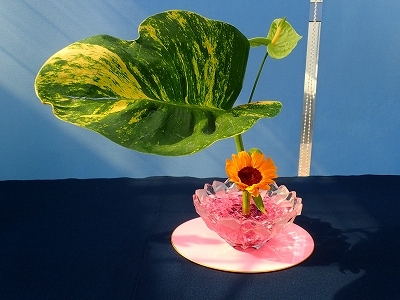 華やかに、いけばな展_f0203094_09280230.jpg