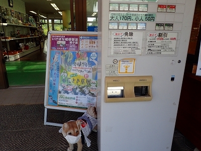 華やかに、いけばな展_f0203094_09334359.jpg