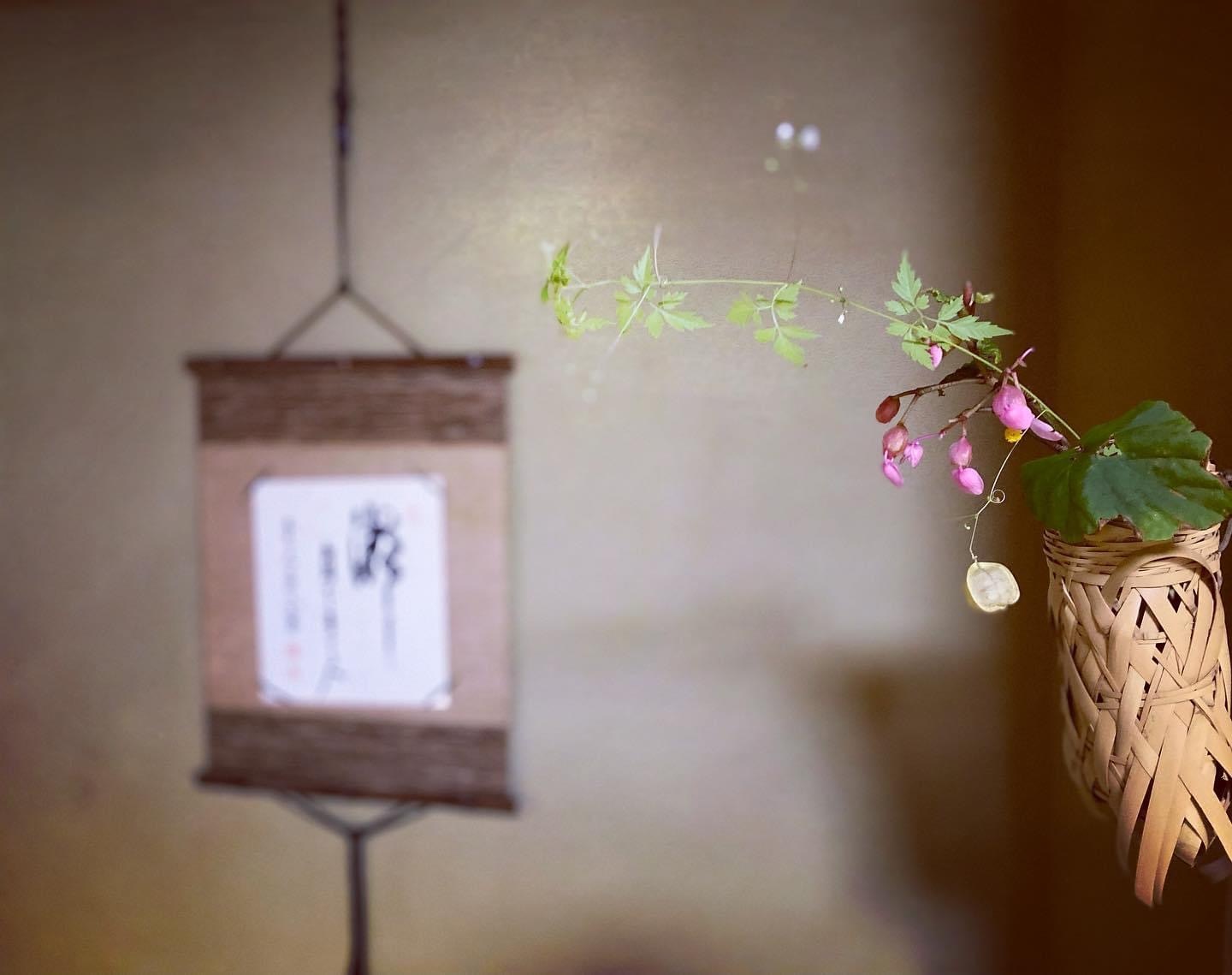 お茶とともに 花とともに_c0203401_09464296.jpeg