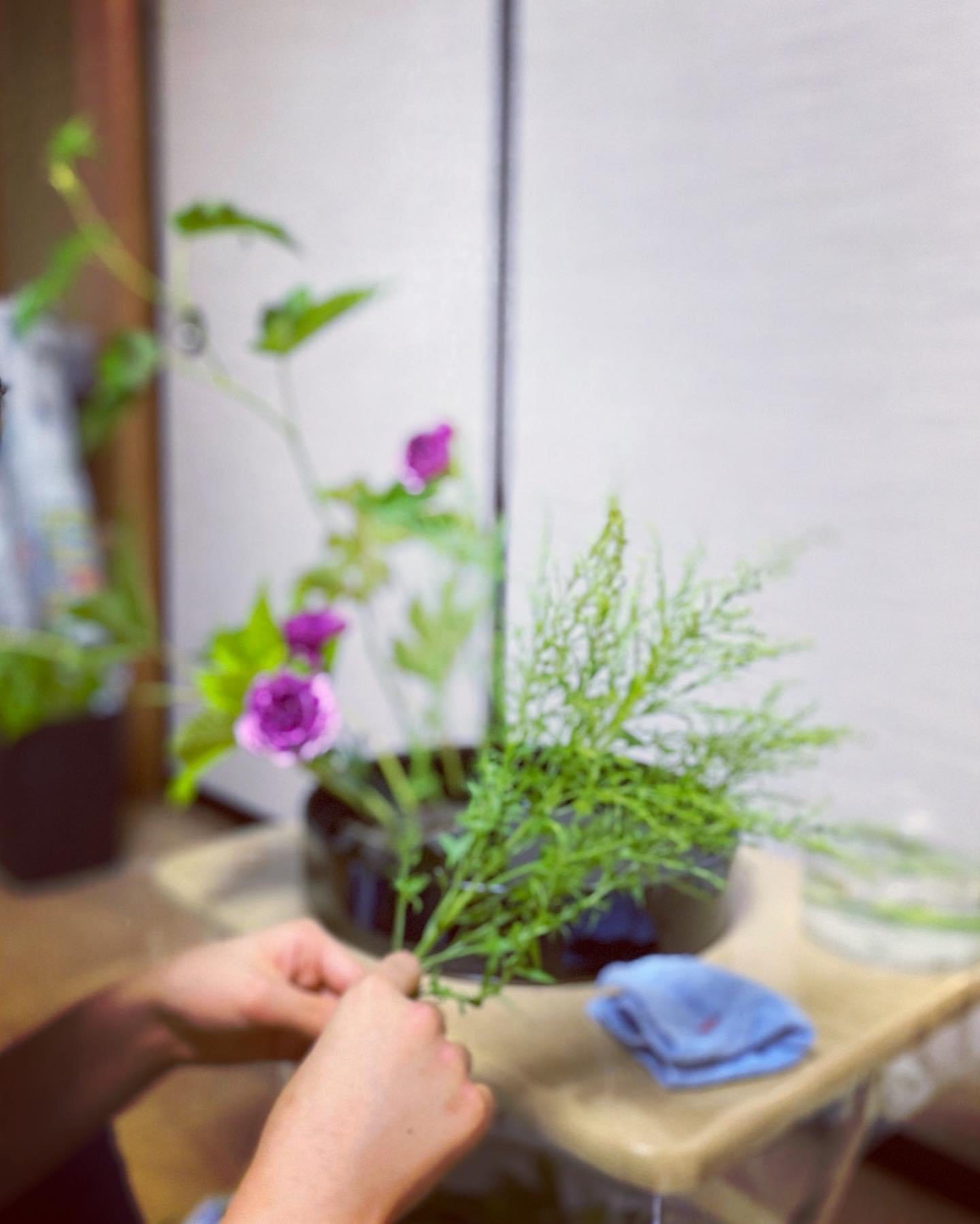 お茶とともに 花とともに_c0203401_09483541.jpeg