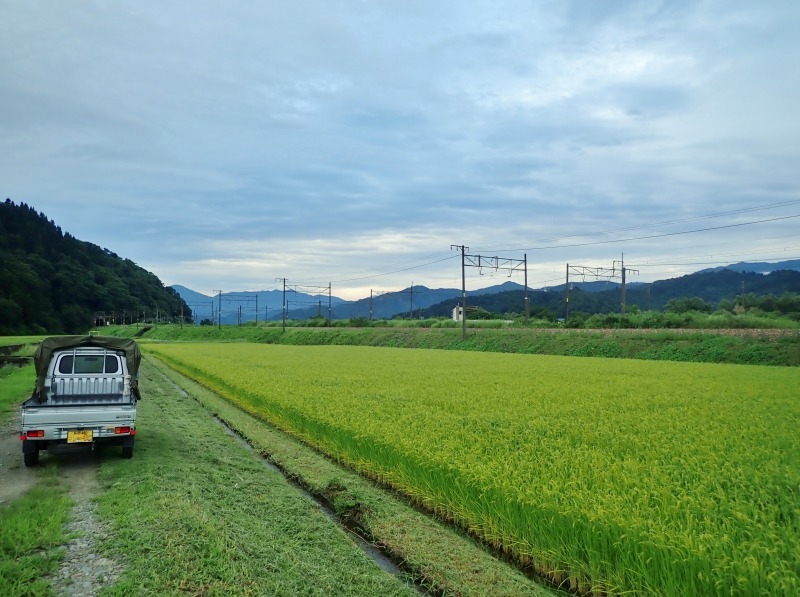 兼業農家は田んぼの草刈り作業でした_c0336902_19082832.jpg