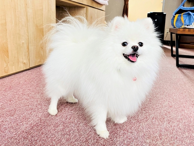何分の一も伝わらない_d0360206_20200911.jpg