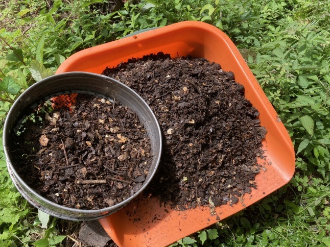 家庭菜園 秋冬野菜の植え付け_d0348118_15523656.jpeg