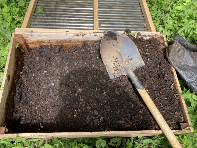 家庭菜園 秋冬野菜の植え付け_d0348118_15525434.jpeg