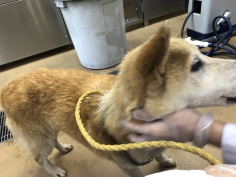 _f0078320_01260955.jpeg