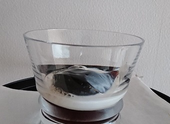 ガトーフェスハラダの コーヒーゼリー_a0264383_20310642.jpg