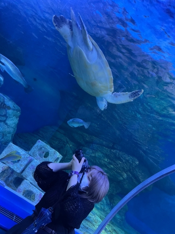 しながわ水族館 Morio From London 大宮店ブログ