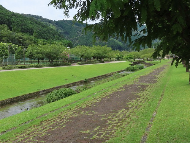 大白公園散策(その1)(撮影:8月23日)_e0321325_14165800.jpg