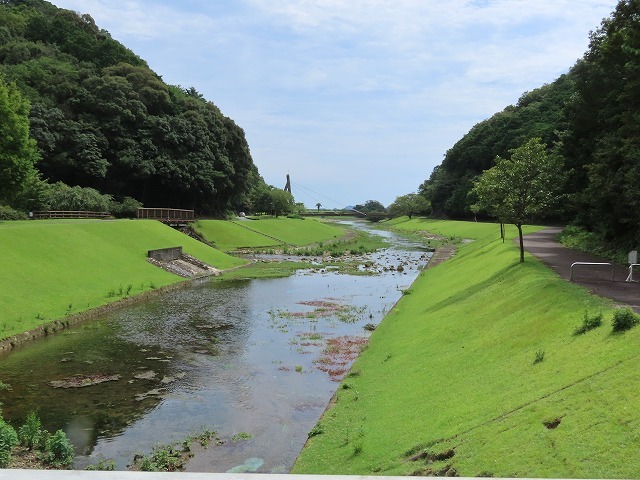 大白公園散策(その1)(撮影:8月23日)_e0321325_14172016.jpg