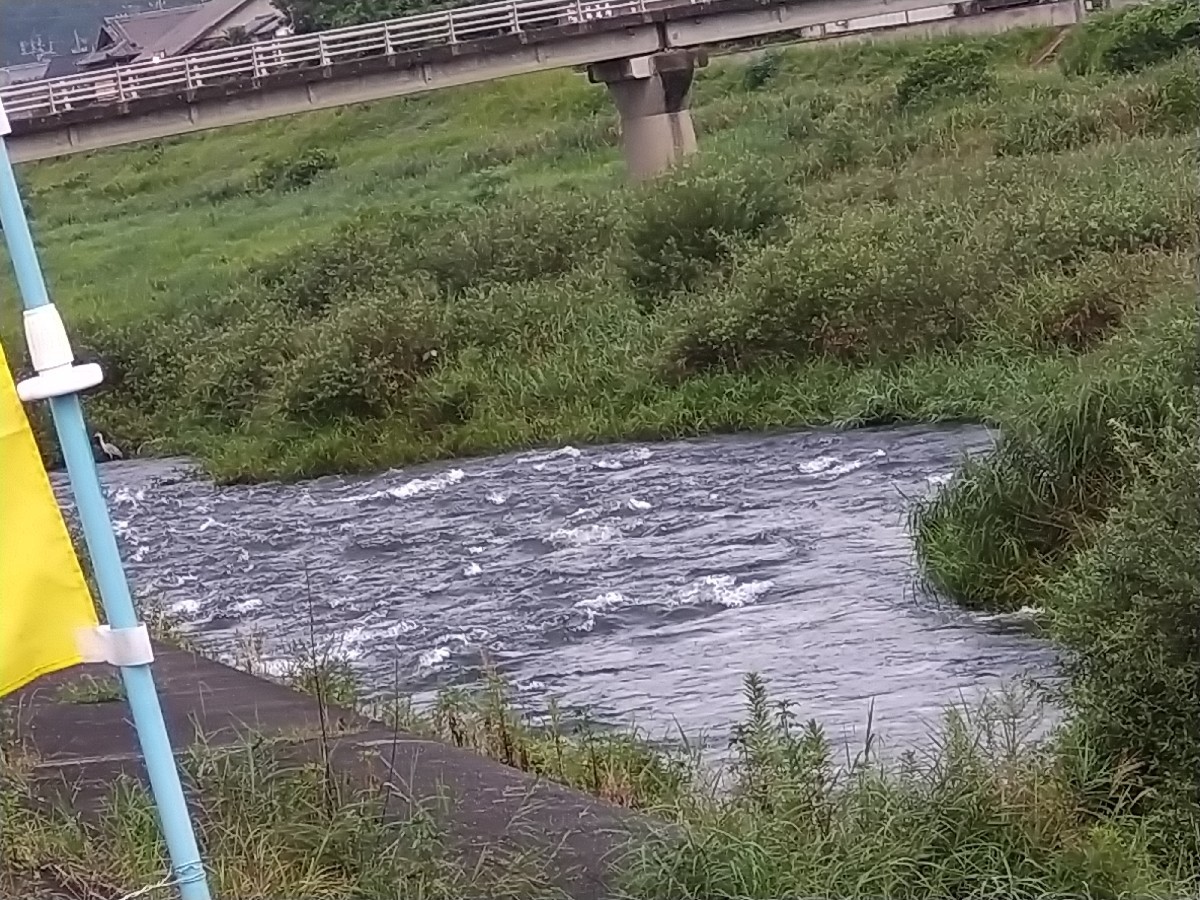 8月24日名張川河川情報..._c0266737_06223227.jpg