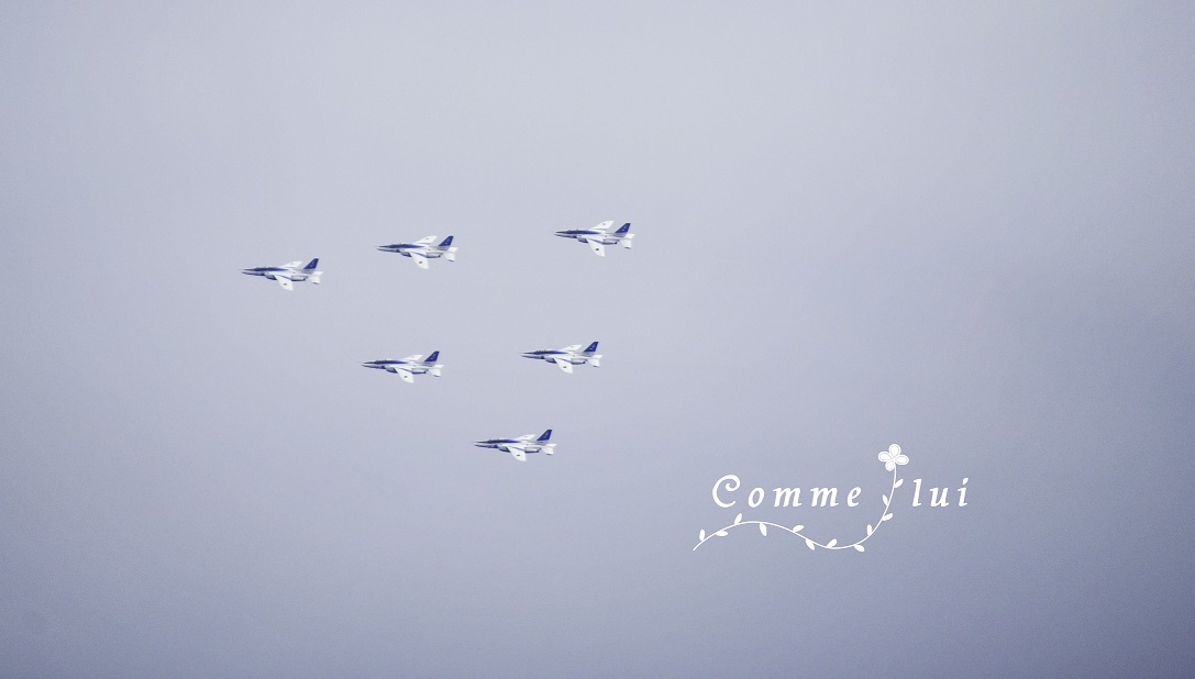 空を見上げて♪_a0192475_16295748.jpg