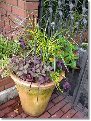 あるもので 秋の寄せ植えを すきな ことに かこまれて