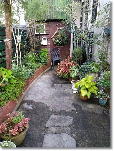 あるもので 秋の寄せ植えを♪ : すきな ことに かこまれて